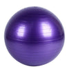 65CM Yoga Fitness Ball Explosion Yoga Gym Ball Thicken Overweight PVC Yoga Balance Ball