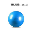 WorthWhile Gym Yoga Balls Pilates Fitness Exercise Balance Ball Workout Training Powerball Equipment Accessories 55cm 65cm 75cm