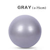 WorthWhile Gym Yoga Balls Pilates Fitness Exercise Balance Ball Workout Training Powerball Equipment Accessories 55cm 65cm 75cm