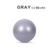 WorthWhile Gym Yoga Balls Pilates Fitness Exercise Balance Ball Workout Training Powerball Equipment Accessories 55cm 65cm 75cm